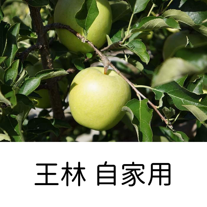 自家用王林 10ｋｇ