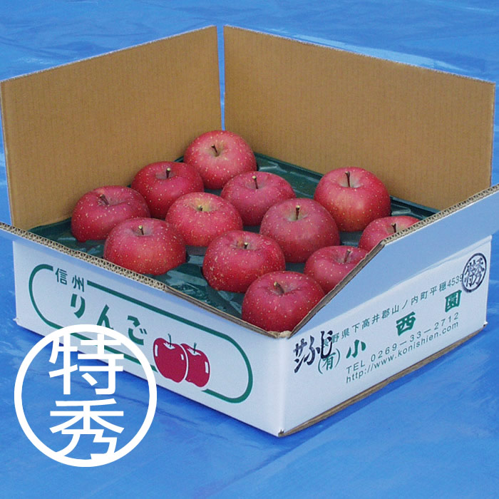 サンふじ 特秀 5ｋｇ 【サンふじ専門農園 小西園】